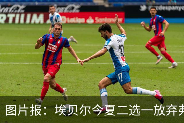 图片报：埃贝尔今夏二选一放弃弗里克